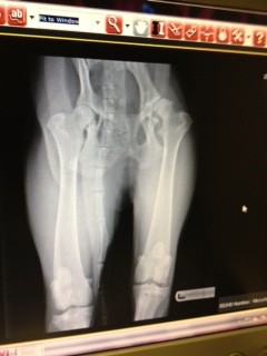 Docxray